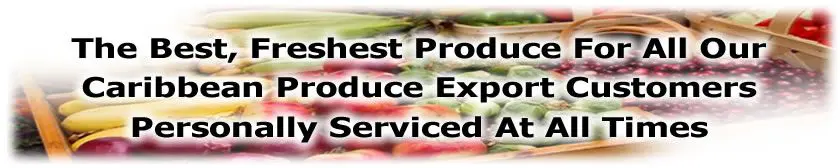 Direct Fresh Wholesale & Export Inc